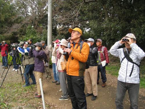 白山神社近くで野鳥を観察