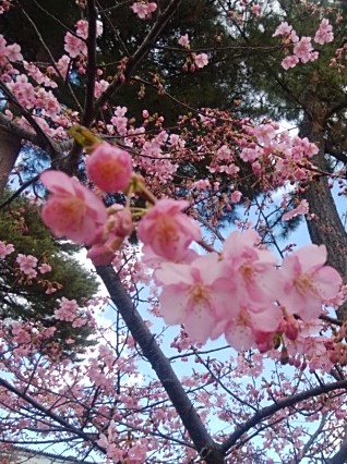 ¥¤¥á¡¼¥¸