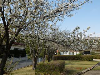 ほんごう公園