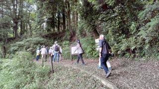 守谷野鳥の道、森の道では野鳥の声が次々と